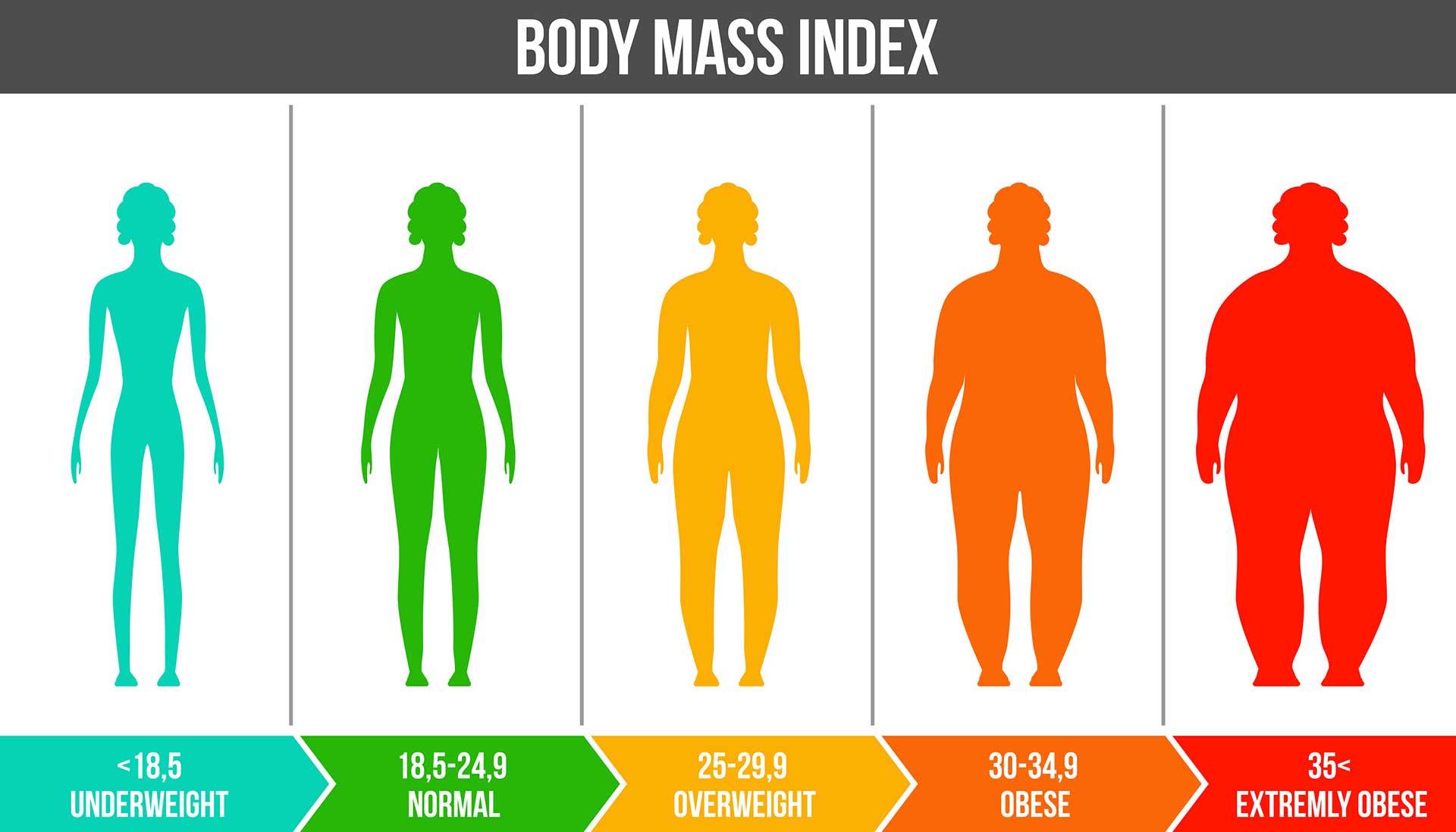 BMI online berechnen, vestehen und auswerten ...